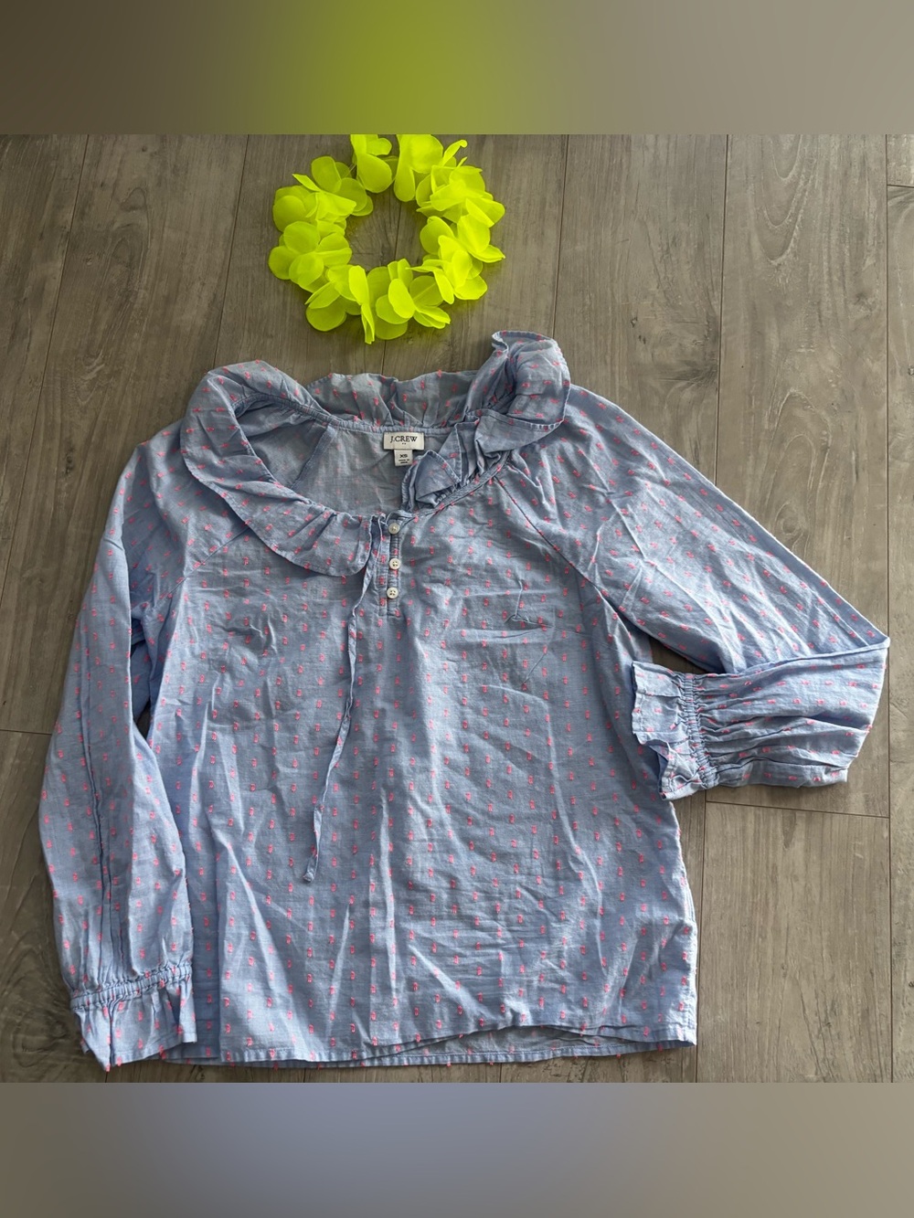 J. Crew Light Blue Long-Sleeve Ruffle Collar Top with Pink Dot Print